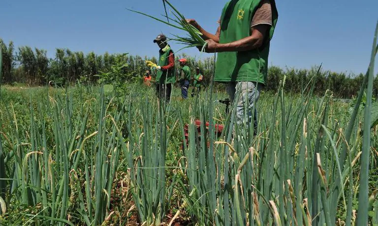 Recursos para técnicas agrícolas sustentáveis